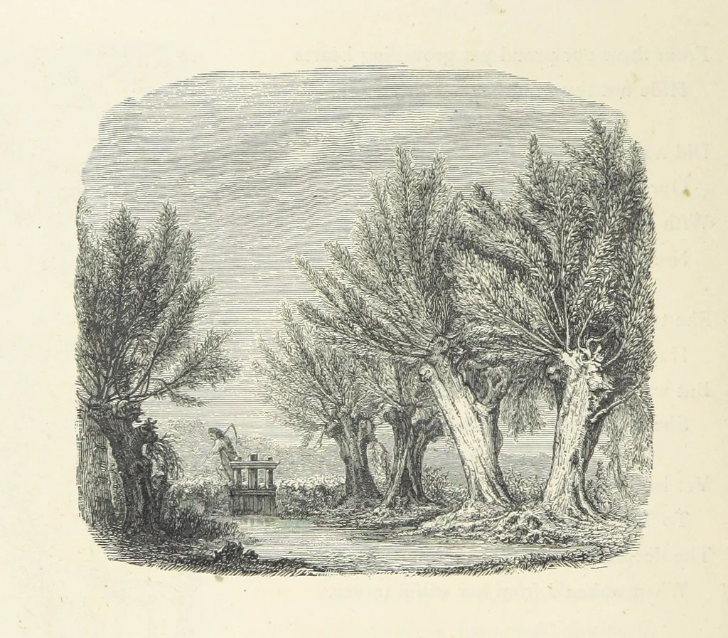 An illustration from The Christian Year, etc. [With a portrait, 1874, leaf 72