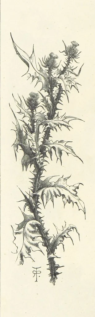 An illustration from The Christian Year, etc. [With a portrait, 1874, leaf 90