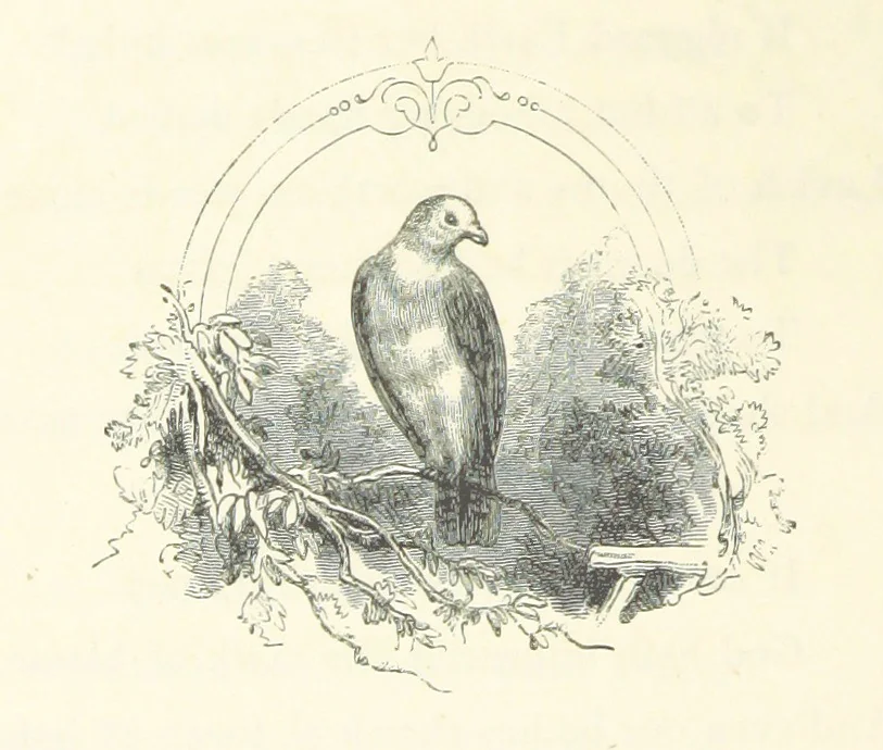 An illustration from The Christian Year, etc, 1880, leaf 102
