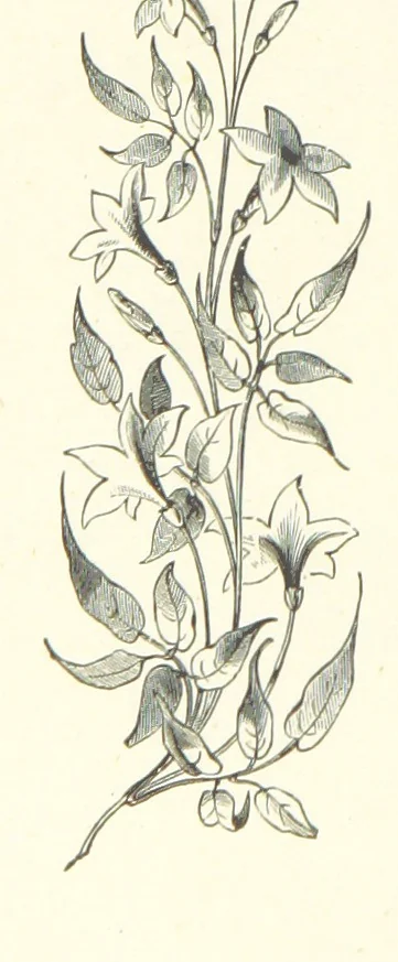 An illustration from The Christian Year, etc, 1880, leaf 122