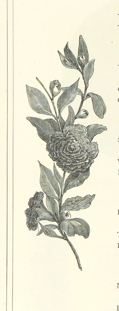 An illustration from The Christian Year, etc, 1880, leaf 124
