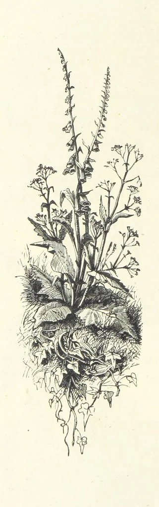 An illustration from The Christian Year, etc, 1880, leaf 128