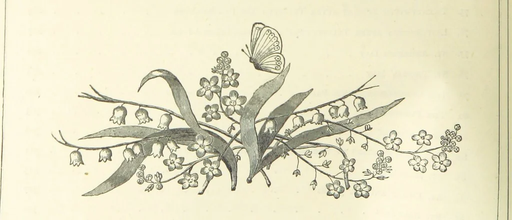 An illustration from The Christian Year, etc, 1880, leaf 14