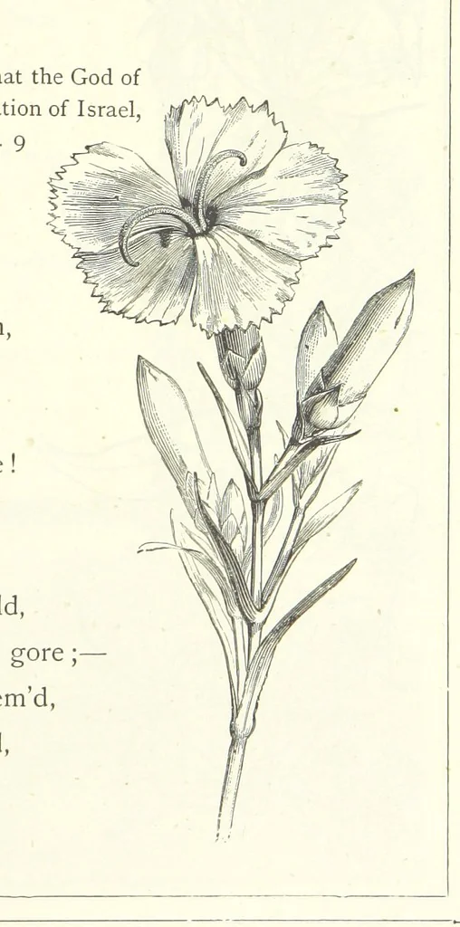 An illustration from The Christian Year, etc, 1880, leaf 169