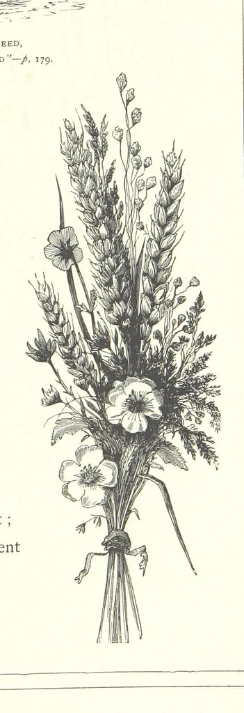 An illustration from The Christian Year, etc, 1880, leaf 195