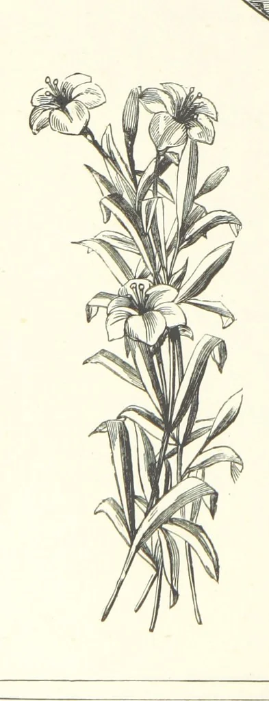 An illustration from The Christian Year, etc, 1880, leaf 198
