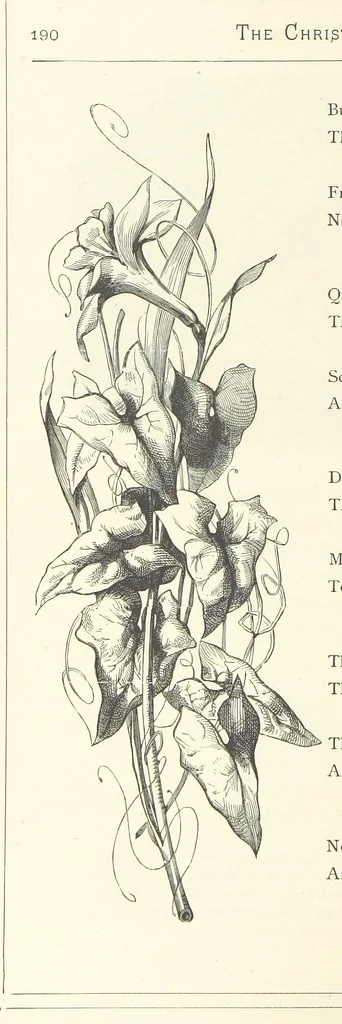 An illustration from The Christian Year, etc, 1880, leaf 204