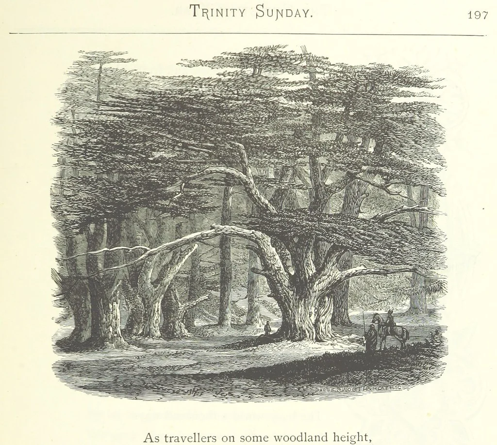 An illustration from The Christian Year, etc, 1880, leaf 211