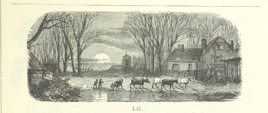 An illustration from The Christian Year, etc, 1880, leaf 217