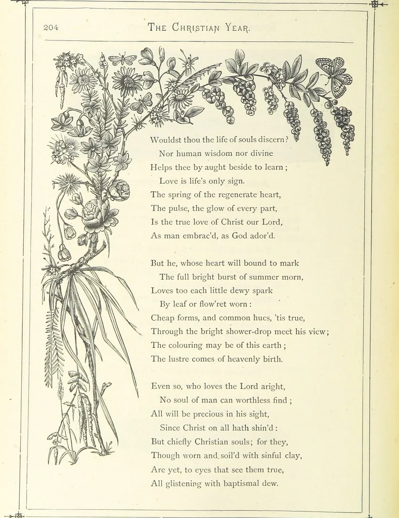 An illustration from The Christian Year, etc, 1880, leaf 218