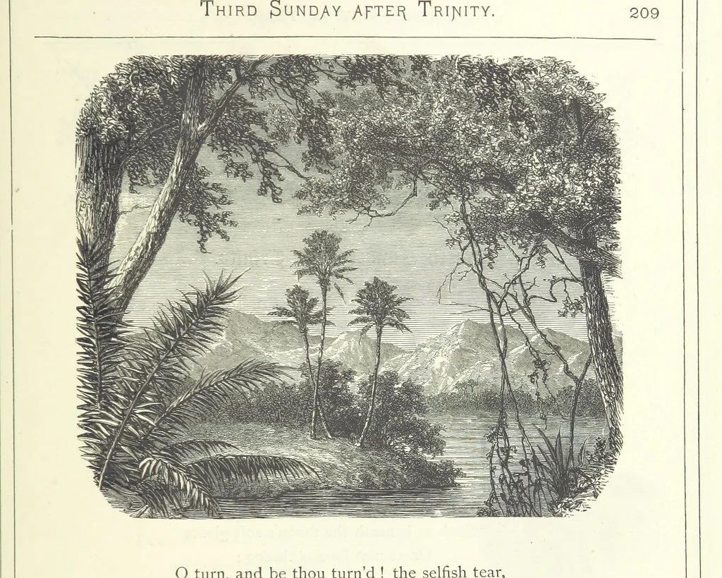 An illustration from The Christian Year, etc, 1880, leaf 223