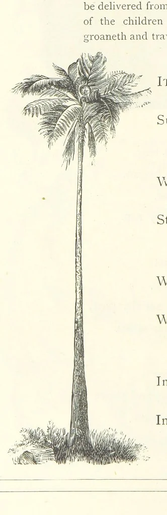 An illustration from The Christian Year, etc, 1880, leaf 224