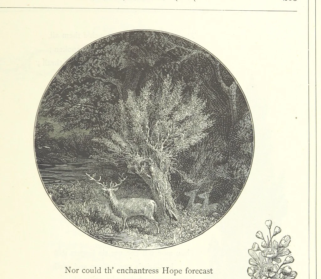 An illustration from The Christian Year, etc, 1880, leaf 227