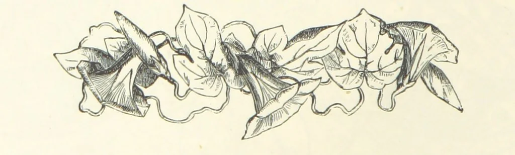 An illustration from The Christian Year, etc, 1880, leaf 236