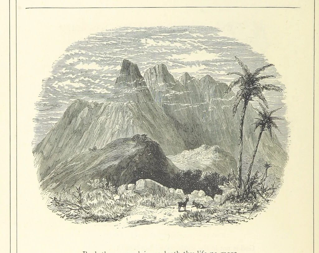 An illustration from The Christian Year, etc, 1880, leaf 246
