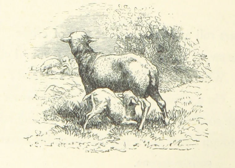 An illustration from The Christian Year, etc, 1880, leaf 26