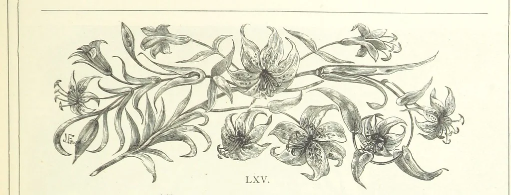 An illustration from The Christian Year, etc, 1880, leaf 265