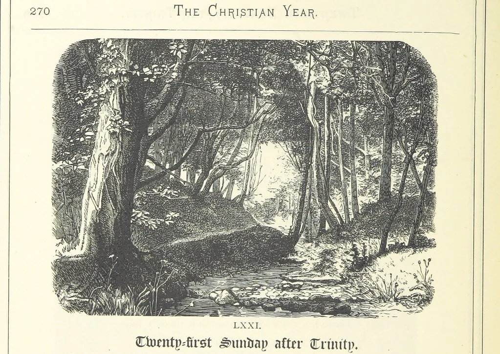 An illustration from The Christian Year, etc, 1880, leaf 284