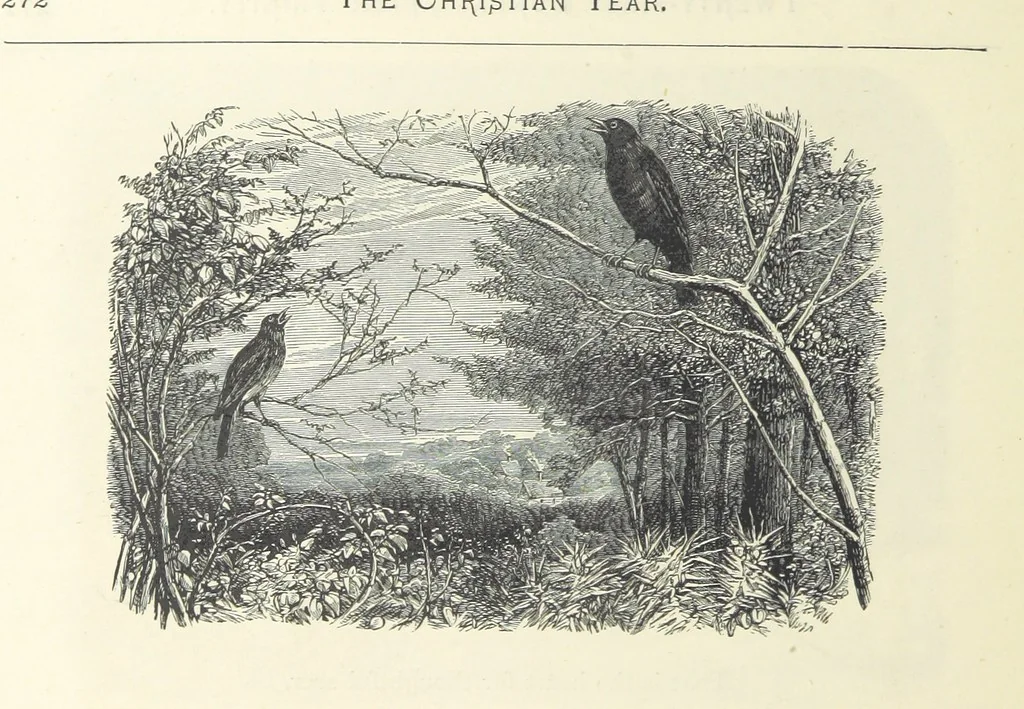 An illustration from The Christian Year, etc, 1880, leaf 286