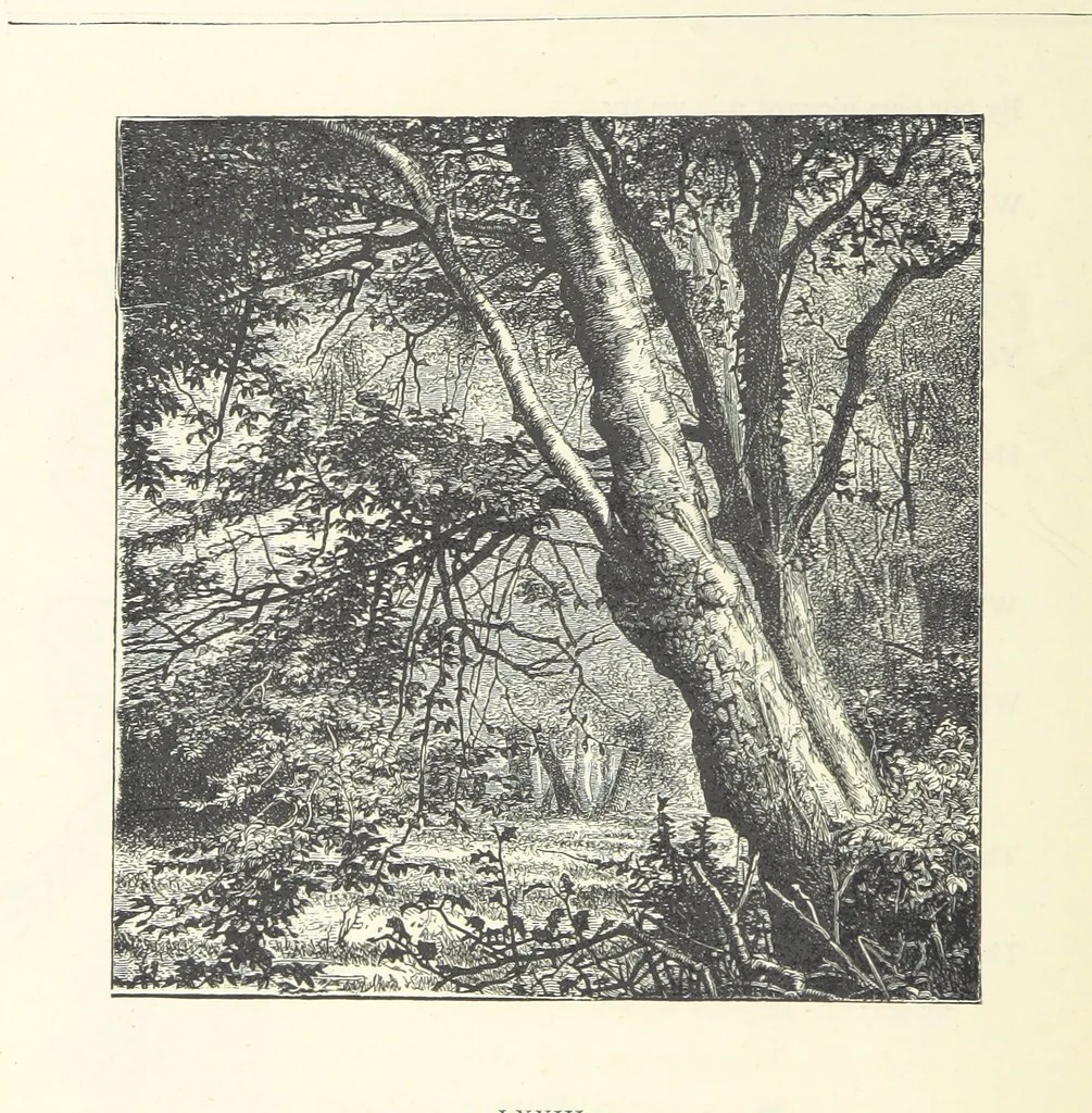 An illustration from The Christian Year, etc, 1880, leaf 290