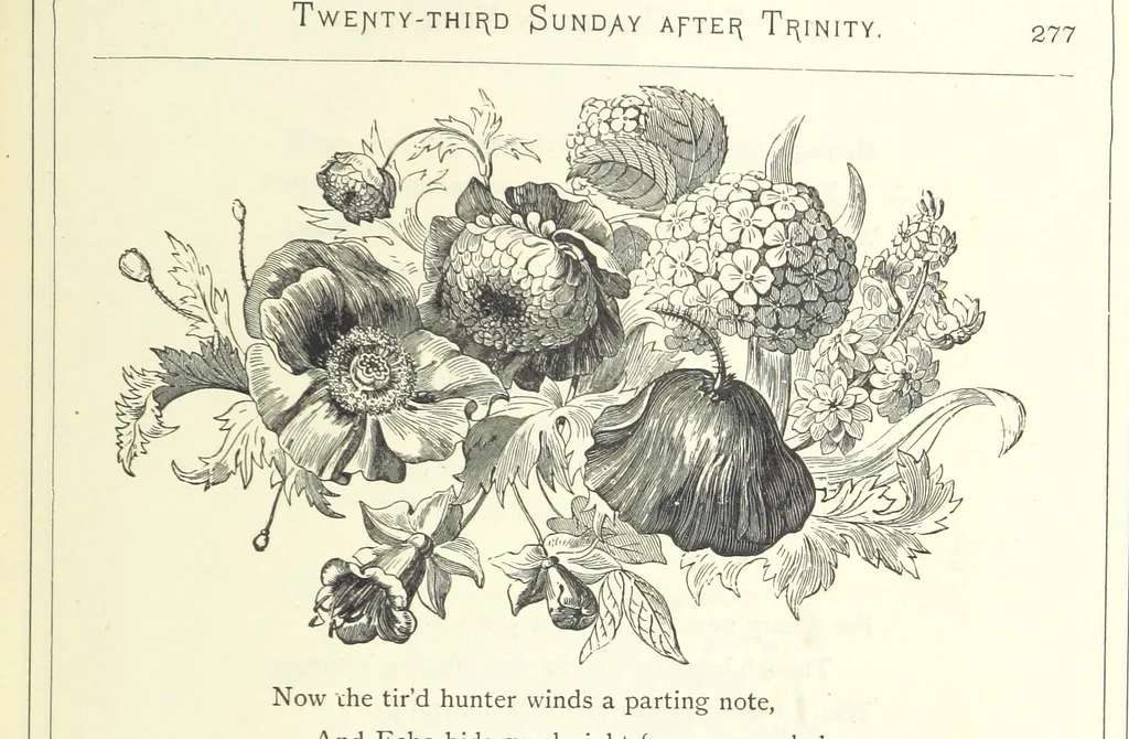 An illustration from The Christian Year, etc, 1880, leaf 291