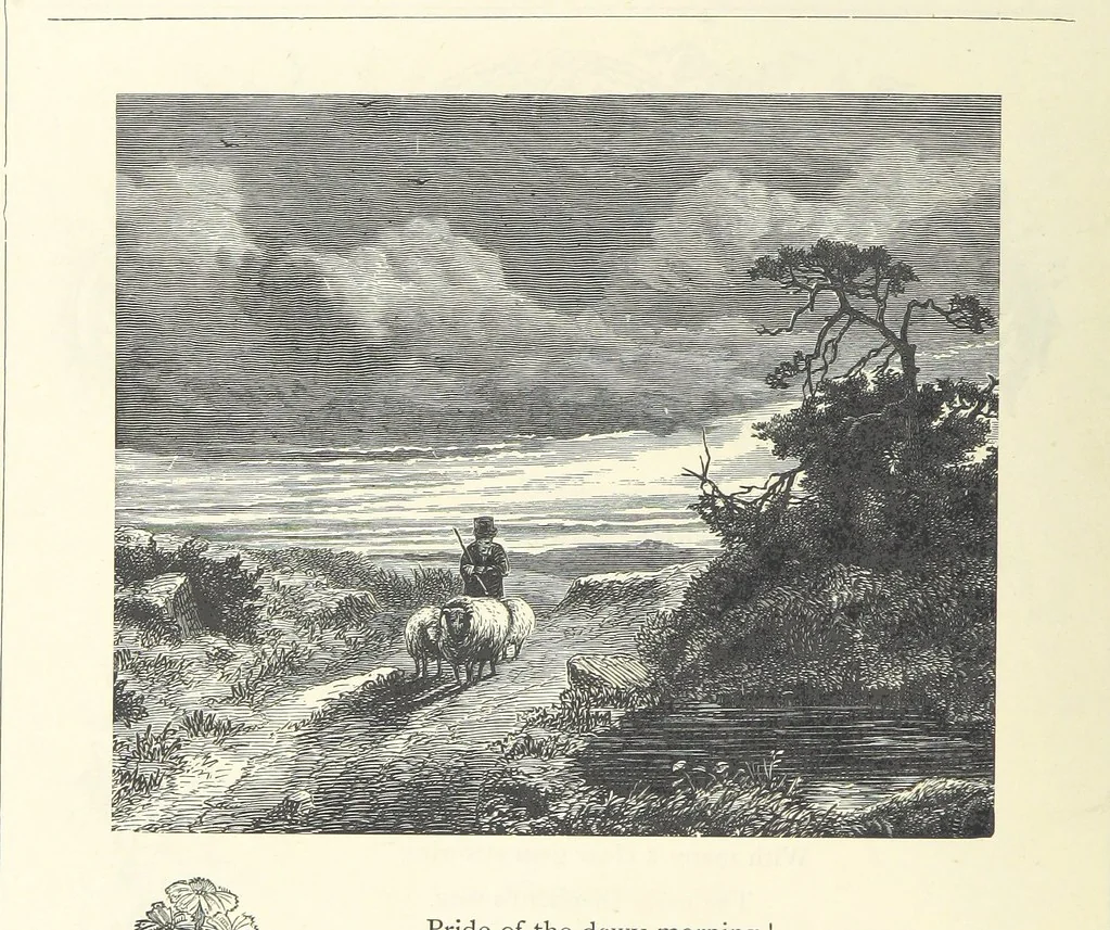 An illustration from The Christian Year, etc, 1880, leaf 298
