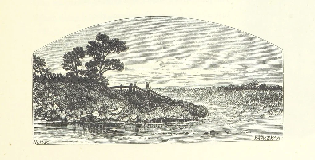 An illustration from The Christian Year, etc, 1880, leaf 313