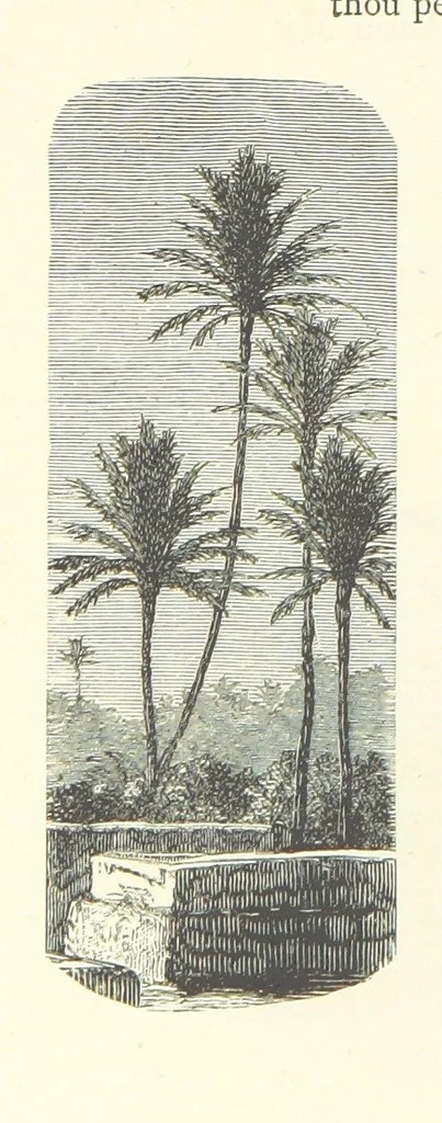 An illustration from The Christian Year, etc, 1880, leaf 314