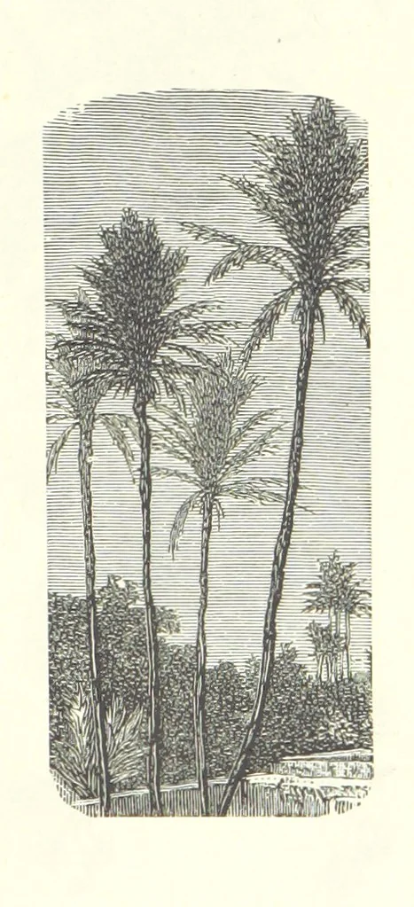 An illustration from The Christian Year, etc, 1880, leaf 315