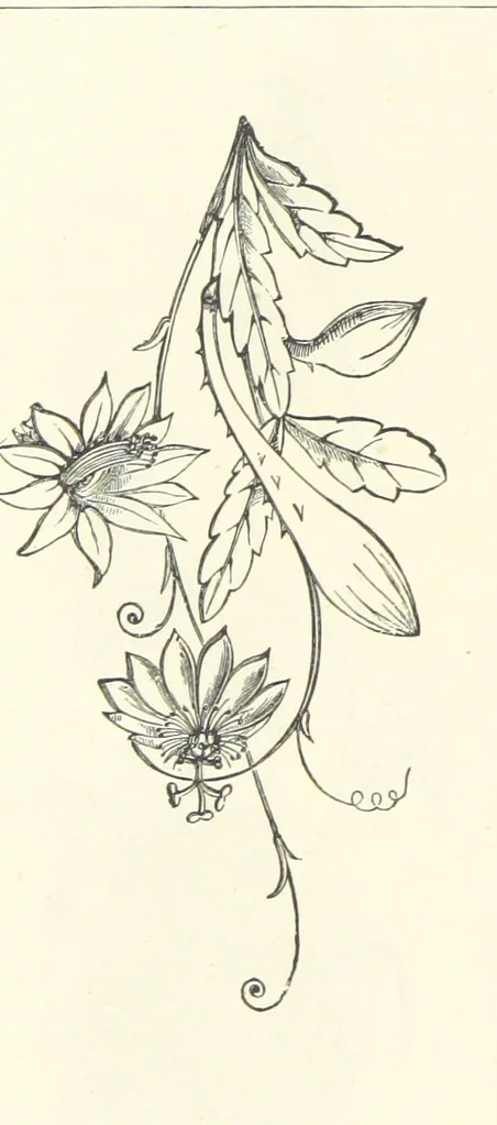 An illustration from The Christian Year, etc, 1880, leaf 318
