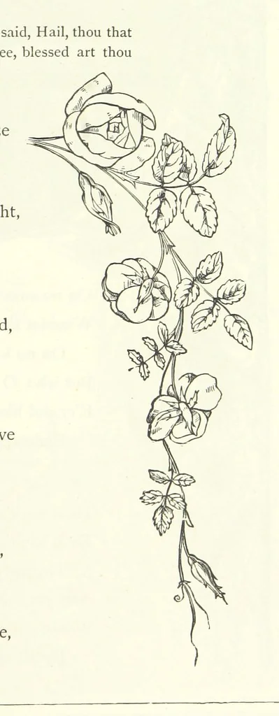 An illustration from The Christian Year, etc, 1880, leaf 325