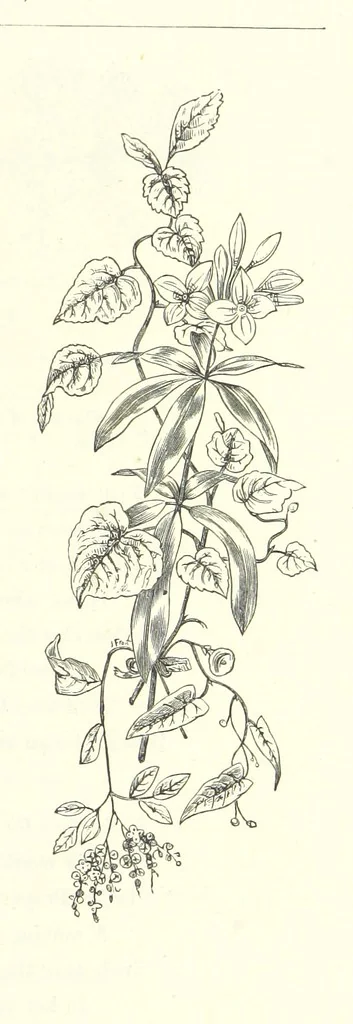An illustration from The Christian Year, etc, 1880, leaf 333