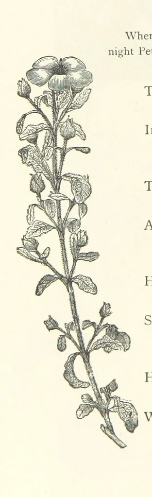 An illustration from The Christian Year, etc, 1880, leaf 340