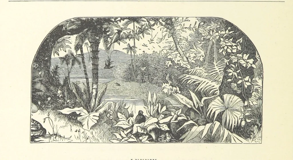 An illustration from The Christian Year, etc, 1880, leaf 346
