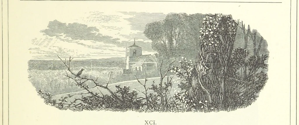 An illustration from The Christian Year, etc, 1880, leaf 353
