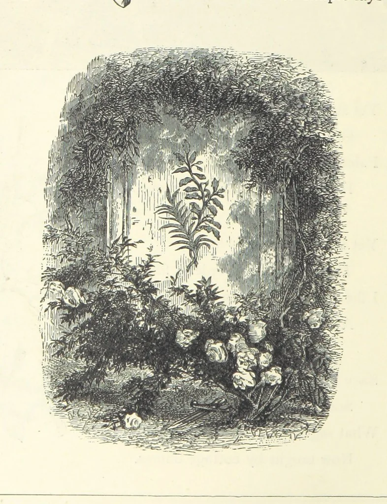 An illustration from The Christian Year, etc, 1880, leaf 376