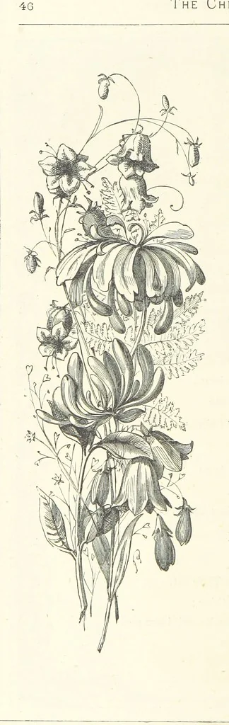 An illustration from The Christian Year, etc, 1880, leaf 60