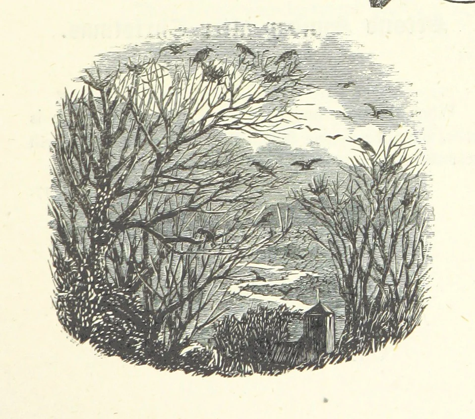 An illustration from The Christian Year, etc, 1880, leaf 61