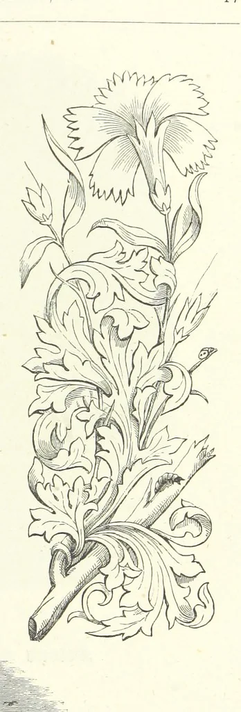 An illustration from The Christian Year, etc, 1880, leaf 61