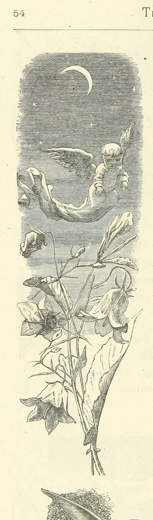 An illustration from The Christian Year, etc, 1880, leaf 68