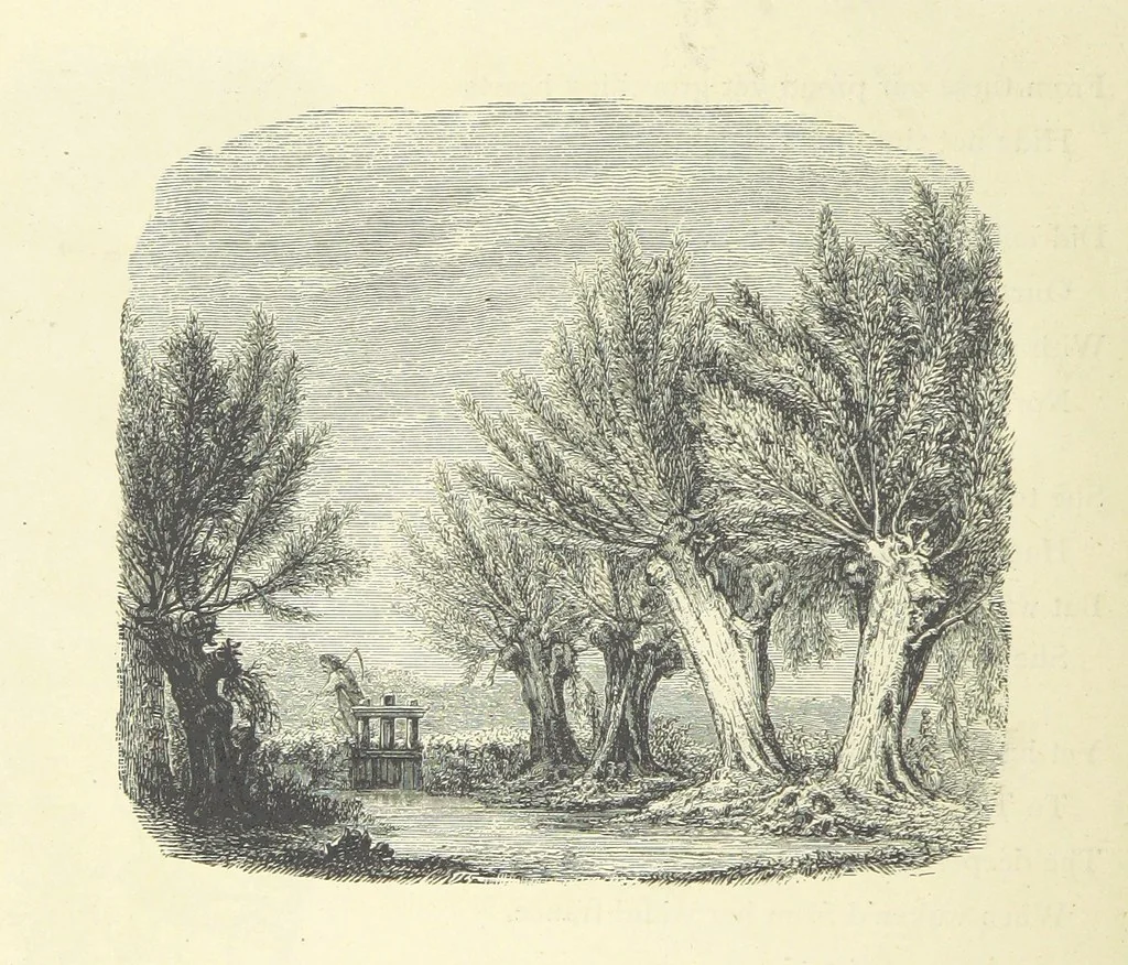 An illustration from The Christian Year, etc, 1880, leaf 70