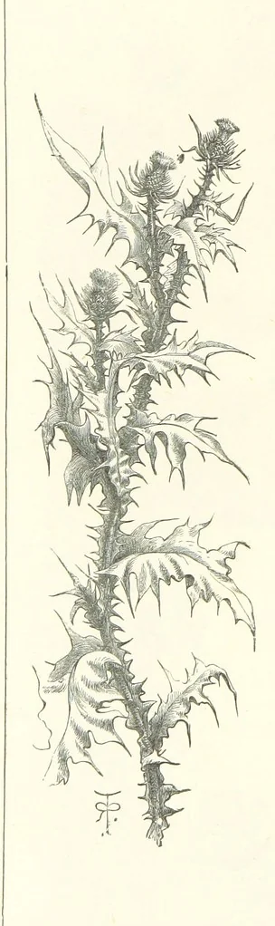An illustration from The Christian Year, etc, 1880, leaf 88