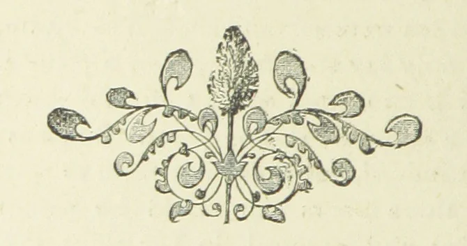 An illustration from White Poppies. A novel ... With illustrations by R. A. Bell, 1893, leaf 134