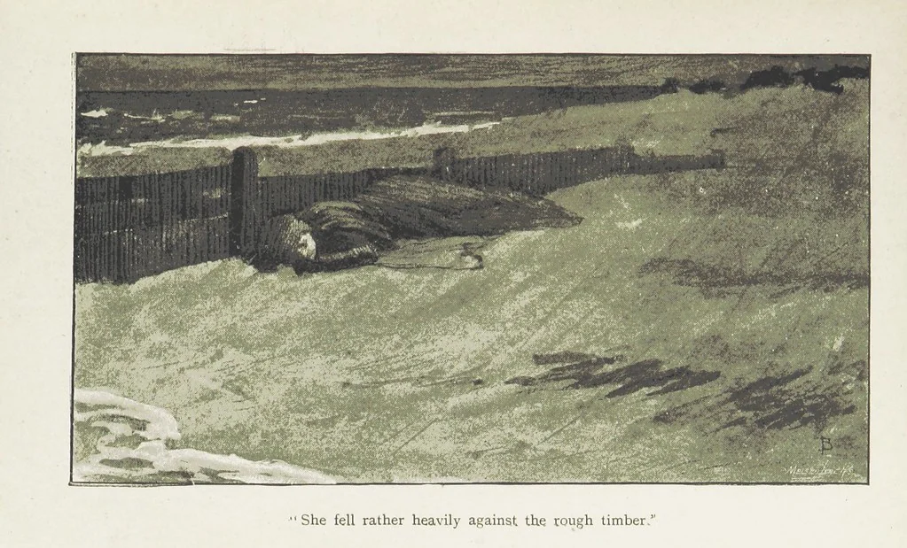 An illustration from White Poppies. A novel ... With illustrations by R. A. Bell, 1893, leaf 135