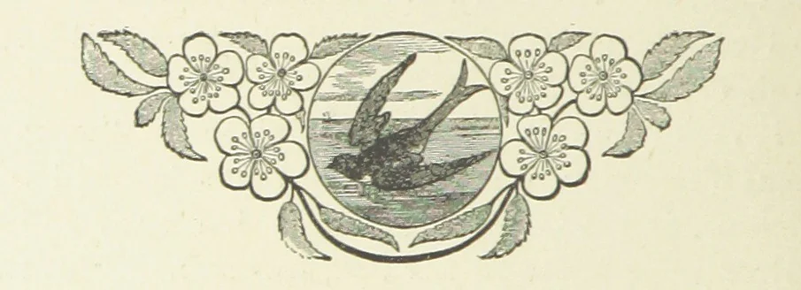 An illustration from White Poppies. A novel ... With illustrations by R. A. Bell, 1893, leaf 150