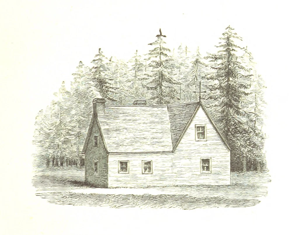 An illustration from The Young Ranchmen; or, Perils of Pioneering in the Wild West ... Illustrated by Walter S. Stacey, 1891, leaf 21