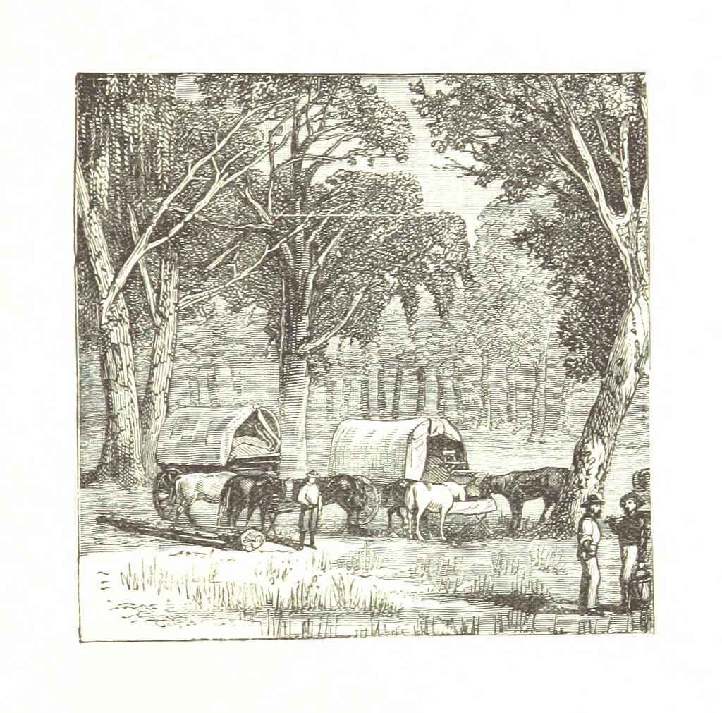An illustration from The Young Ranchmen; or, Perils of Pioneering in the Wild West ... Illustrated by Walter S. Stacey, 1891, leaf 217