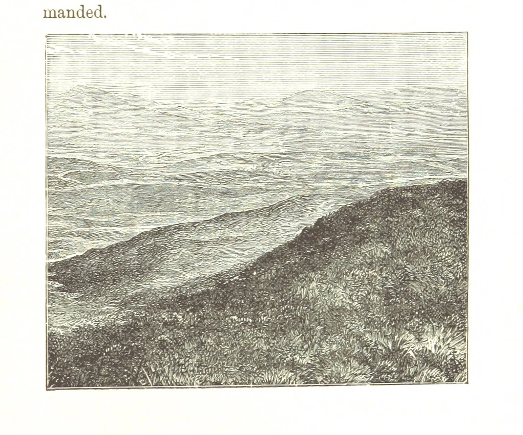 An illustration from The Young Ranchmen; or, Perils of Pioneering in the Wild West ... Illustrated by Walter S. Stacey, 1891, leaf 229
