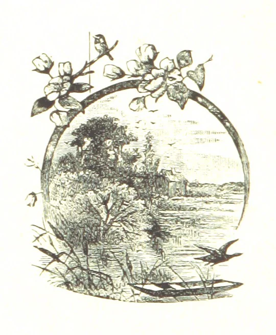 An illustration from The Young Ranchmen; or, Perils of Pioneering in the Wild West ... Illustrated by Walter S. Stacey, 1891, leaf 34