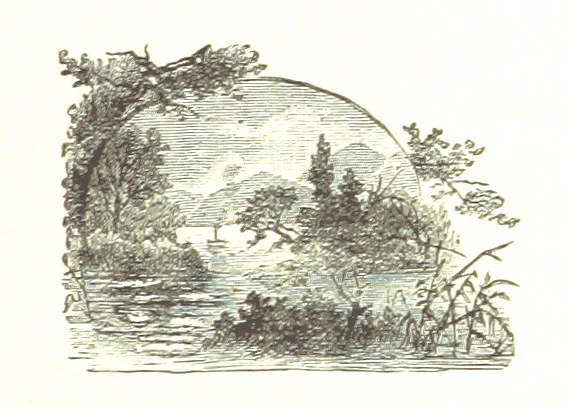 An illustration from The Young Ranchmen; or, Perils of Pioneering in the Wild West ... Illustrated by Walter S. Stacey, 1891, leaf 43